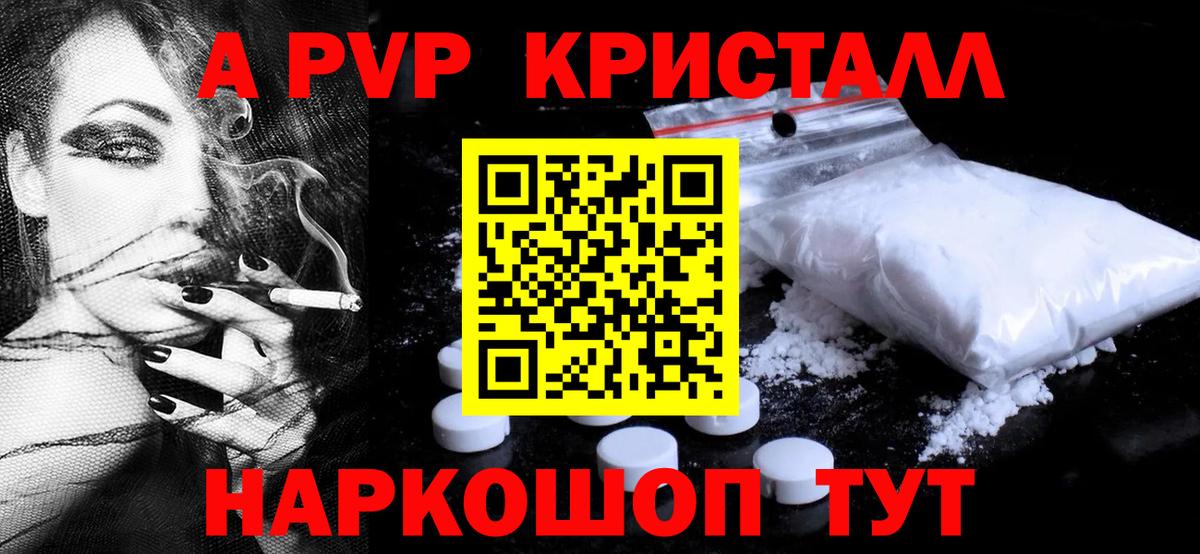 A PVP СК КРИС Воронеж
