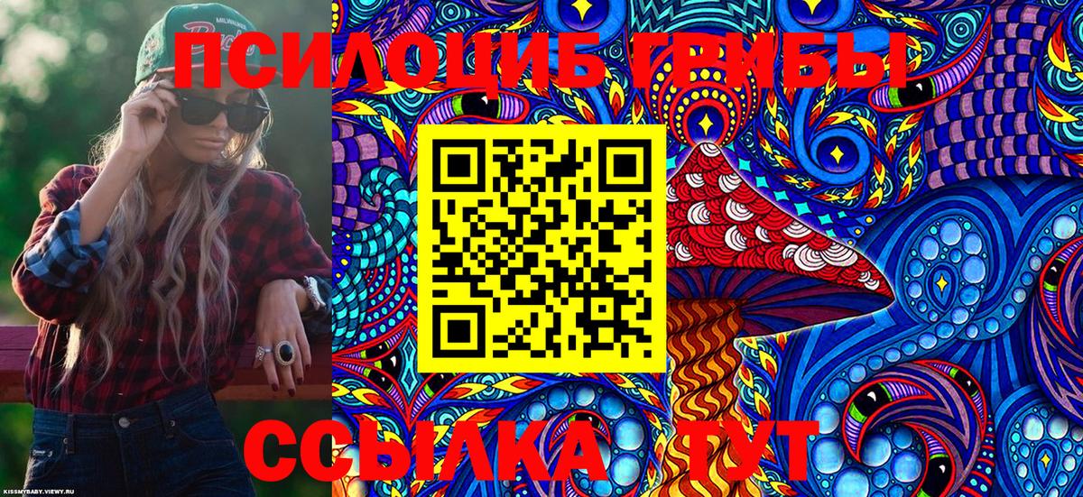 Воронеж  Псилоцибиновые грибы GOLDEN TEACHER  Вход с VPN  Псилоцибиновые грибы Psilocybine cubensis 